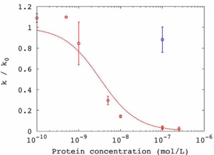 Figure 6. Model and experimental data for phage replication in F+ culture (all cells infected)