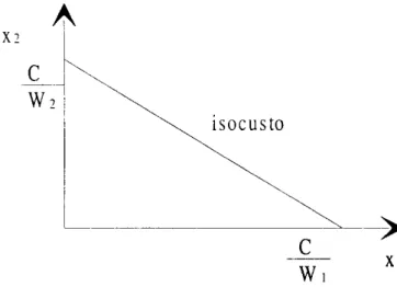 Figura 3 -Representação geométrica de uma isocusto 
