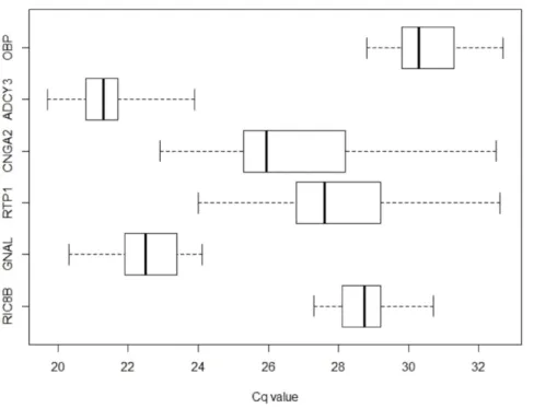 Figure 1. Expression profiling of candidate reference genes in whole human olfactory mucosa