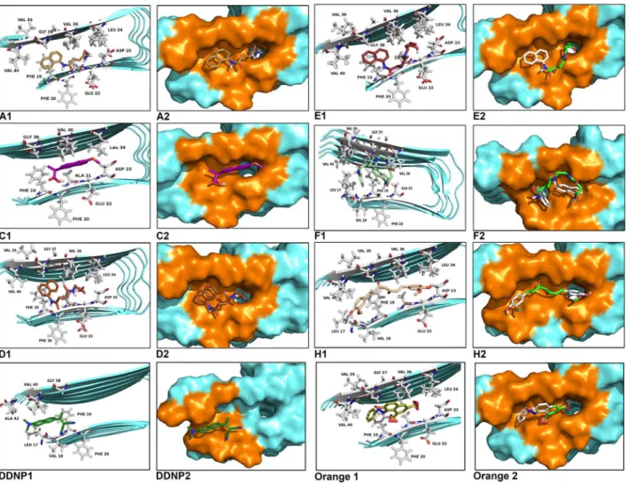 Fig 4. Molecular docked model of chemical chaperones (stick representation), located in the amino acids of Aβ 17–42 segment (cartoon and sphere views)