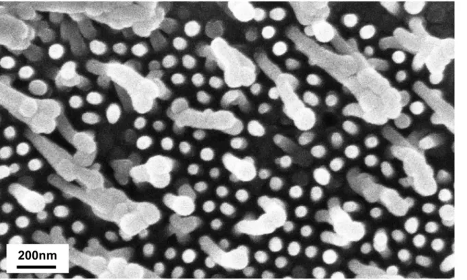 Fig 3. Stretching of nanopicots with a mold of 200nm-deep pores.