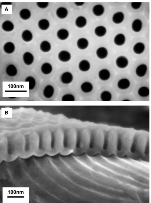 Fig 2 shows SEM images of the nanostructured ABS surfaces replicated from AAO mold after demolding
