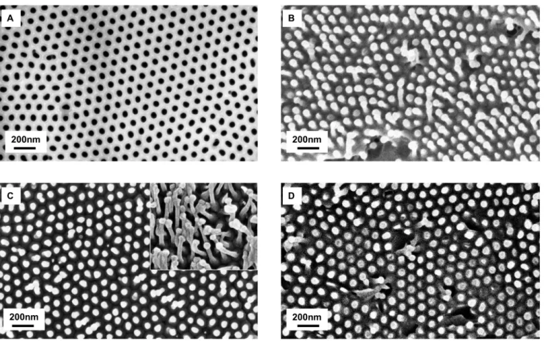 Fig 2. SEM images of AAO mold and nanostructured ABS. (A) AAO mold; (B) ABS nanostructured with polymer wetting solution (technique 1); (C) Two areas of nanostructured ABS Film (technique 2); (D) Injected ABS nanostructured with heat plate (technique 3)