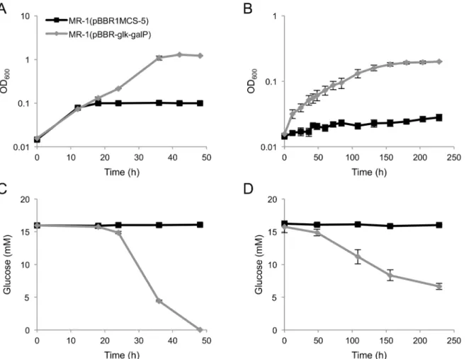Fig 2. Growth (A, B) and glucose consumption (C, D) of S. oneidensis derivatives under aerobic (A, C) and fumarate-reducing (B, D) conditions