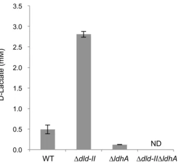 Fig 5. D-lactate production from glucose by D-LDH-deficient S. oneidensis derivatives