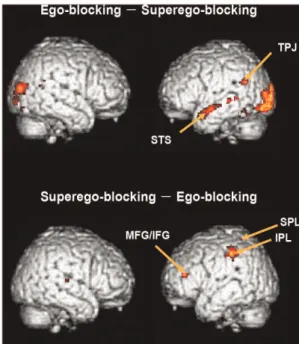 Table 3. Comparison of brain activation in the ego-blocking condition and the superego-blocking condition (p , .001 uncorrected, cluster 
