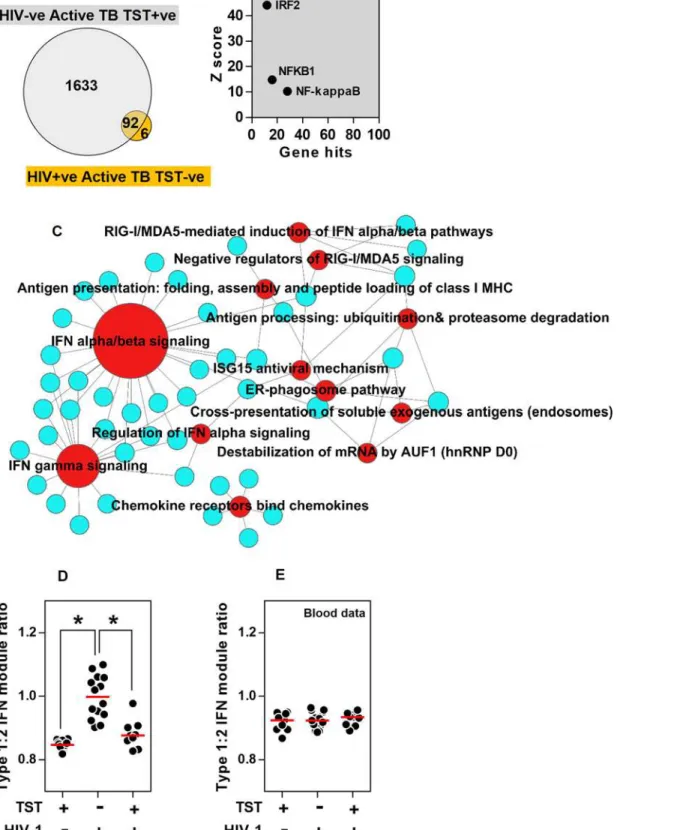 Fig 4. Preserved type 1 IFN responses uncoupled from other immune responses in HIV-1/TB co-infected patients with clinically negative TSTs