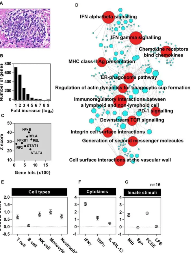 Fig 1. Bioinformatic and modular analysis of the TST signature in HIV negative patients with active TB