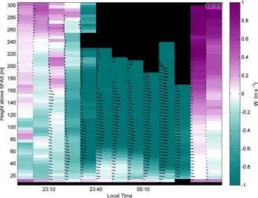 Figure 3. Same as Fig. 2 but from 28 June at 01:40–02:50 LT.