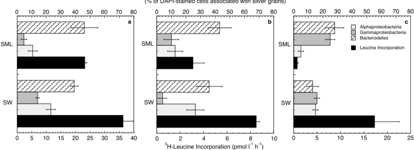 Fig. 7. Bulk 3 H-leucine incorporation and relative contribution of bacterial groups to leucine-incorporation in the surface microlayer (SML) and in surface waters (SW) at Stations MAR (a), GYR (b) and STB17 (c)