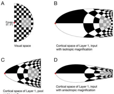 Table 1. Overview of the Parameters for the Simulation of the Eye Movement