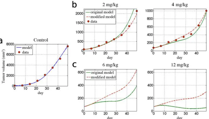 Fig 1. Fitted model curves and predicted tumor response to different doses of bevacizumab