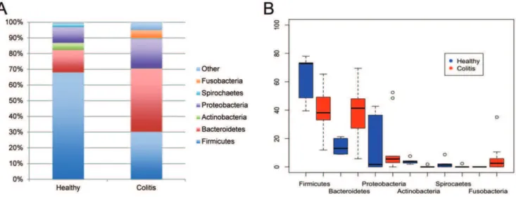 Table 3. Classification and species richness of the fecal bacteria of healthy horses and horses affected by colitis.