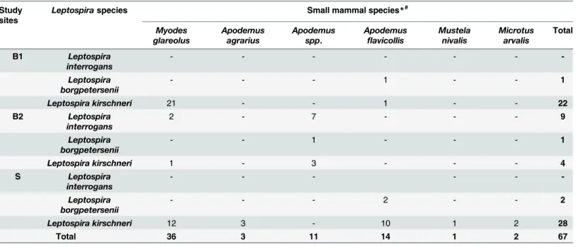 Table 2. Number of the Leptospira species detected in the small mammals per study site * # 