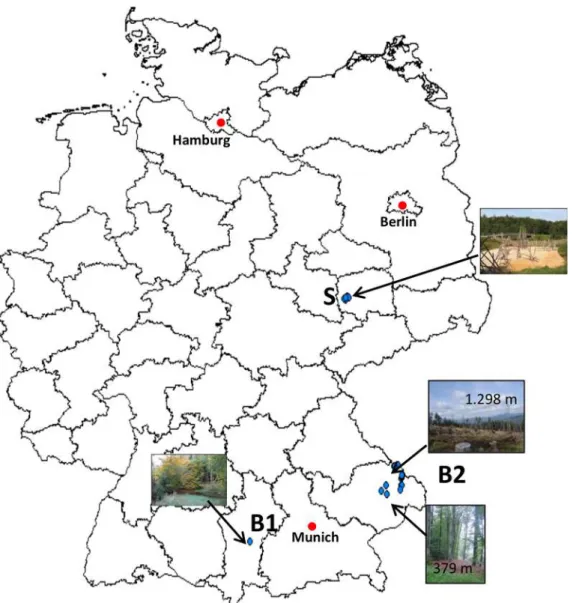 Fig 1. Map of Germany showing the trapping areas (blue dots) of the study sites B1, B2 and S.