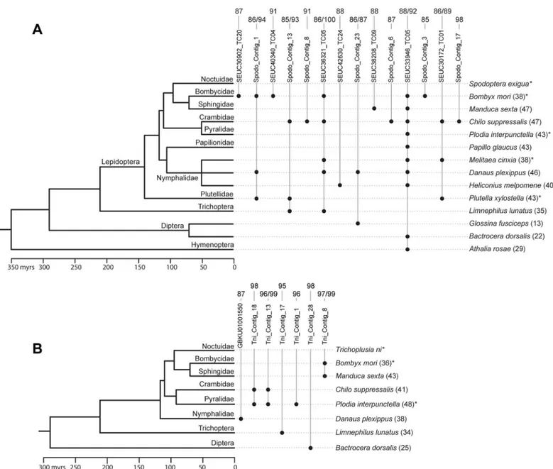 Fig 4. Timetree of various insect species in which we found evidence for horizontal transfer of Spodoptera exigua (A) or/and Trichoplusia ni (B) transposable elements (TEs) found integrated in one or more AcMNPV populations