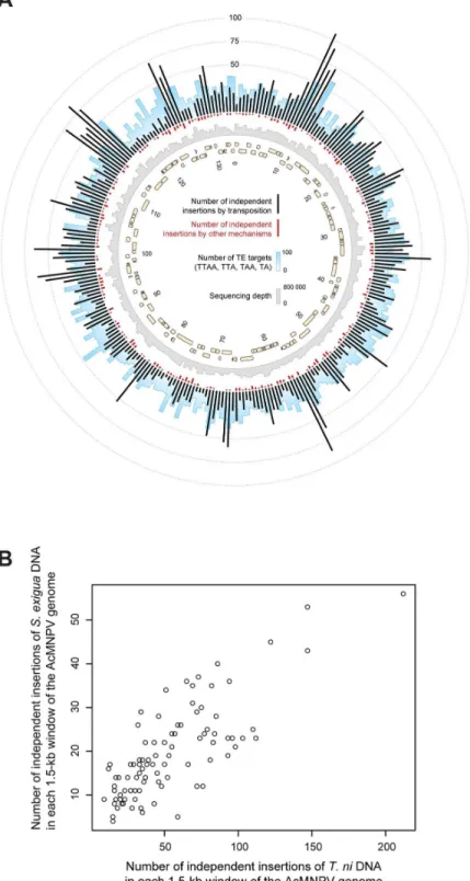 Fig 3. Patterns of moth DNA sequence integration along the circular AcMNPV baculovirus genome