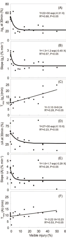 Table 1. Correlation between A max vs. g s variables obtained during the dynamic response to severing of a leaf (D: