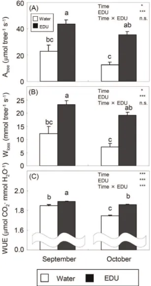 Figure 6. Estimated carbon assimilation (A: A tree_st ), water loss (B: W loss_st ) and instantaneous water use efficiency expressed as A tree_st /W loss_st (C: WUE _st ) at tree level under severe water stress imposed by severing a leaf (+SE) (WAT: water 