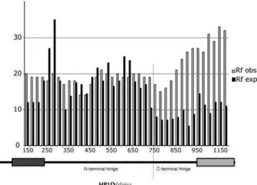 Figure 5. Population Genetics of HP1D/rhino between D. melanogaster and D. simulans
