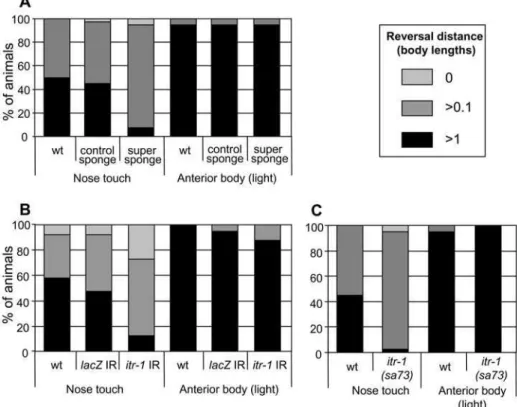 Figure 2. IP 3 and itr-1 function in the aversive response to nose touch. The reversal response (measured in worm lengths) of animals exposed to nose touch or light anterior body touch