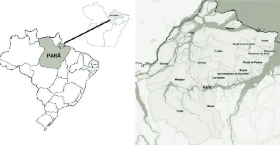 Figura 1. Mapa de localização do território Marajoara