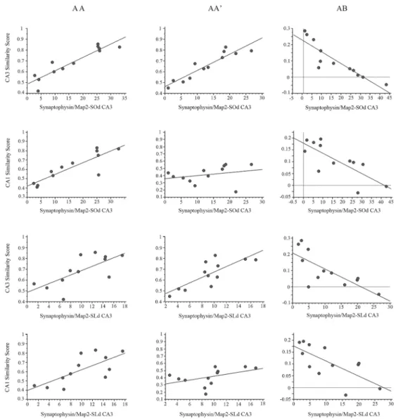 Fig 9. Synaptophysin/Map2 area and Similarity score correlation analysis. Correlation graphs between: