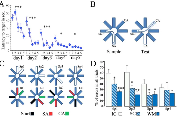Fig 1. Spatial pattern separation in the DNMP task improves after water maze and swimming treatment