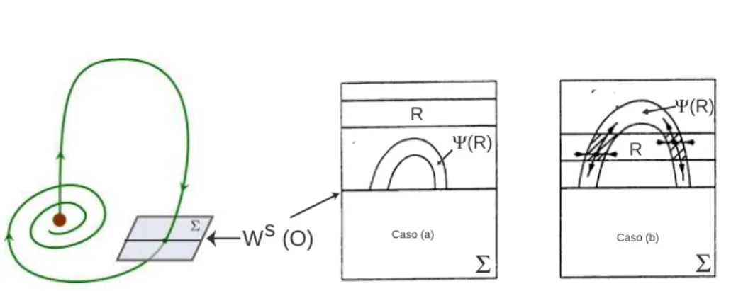 Figura 10: Σ é uma secção transversal a Γ. Caso (a) se µ &lt; −ρ, para λ &gt; 0, há uma solução periódica atractora; Caso (b) se µ &gt; −ρ, para λ &gt; 0, existem infinitas soluções do tipo sela.