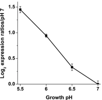 Figure 4. Effect of pH on the H 2 consumption by W3110 and D hycE . The lines represent traces of H 2 concentration as a function of time.