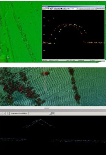 Figure 1. Errors found in swath data indicating inadequate  quality of calibration. The images show profiles of objects in 