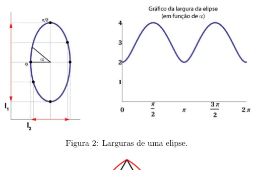 Figura 2: Larguras de uma elipse.
