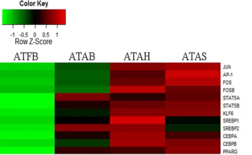 Figure 7. Changes of the expression levels of genes relative to adipocyte-derived proteins in adipose tissue of adult cattle