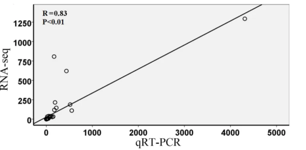 Figure 1. Verification of gene expression analysis by quantitative realtime PCR (qRT-PCR)