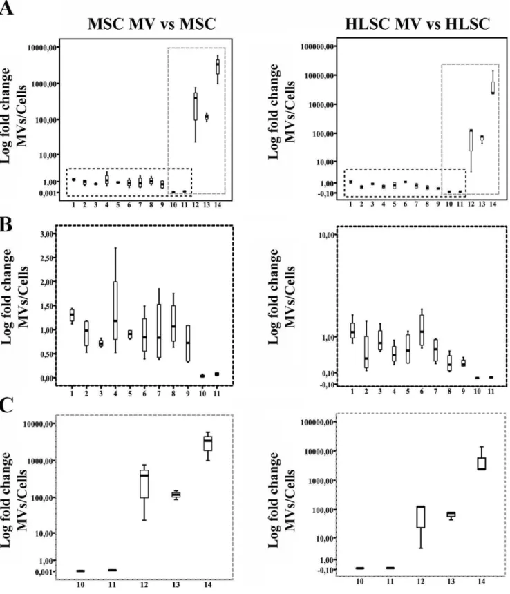 Figure 5. MVs containing miRNAs. Fold change analyses of selected miRNAs in MVs from MSCs and HLSCs in respect to their cell of origin was detected by qRT-PCR and expressed as Log of 2 2DCt (MVs versus cells)
