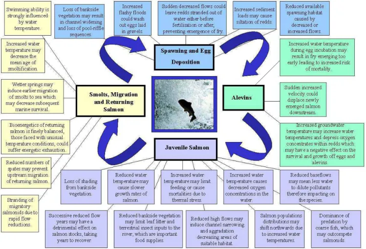 Fig. 1. Schematic highlighting the potential impacts of climate change on the main life stages of the Atlantic salmon.
