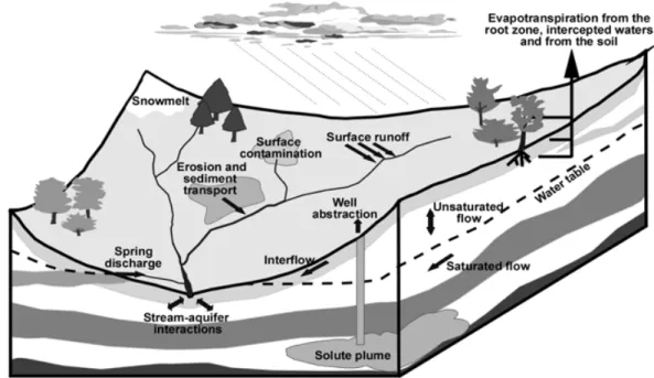 Fig. 3. Main processes simulated by SHETRAN.