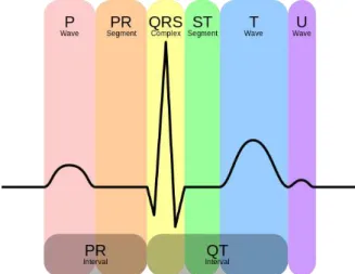 Fig. 1: Elements of a typical ECG signal (image source: 