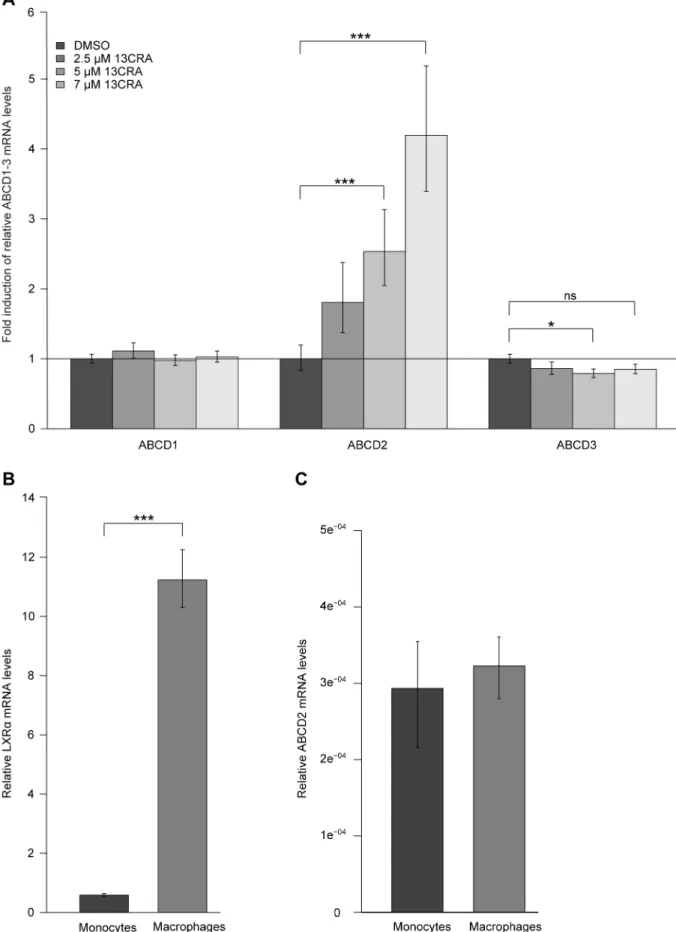 Figure 4. 13CRA mediates a modest induction of ABCD2 in differentiated human macrophages in vitro 
