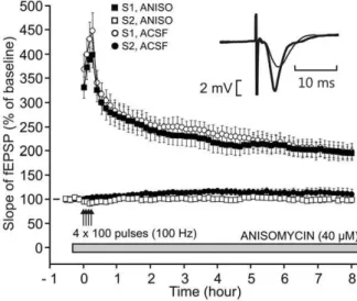 Figure 9. Lack of effect of anisomycin on L-LTP induced by four trains of high-frequency stimulation