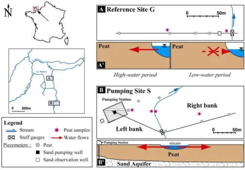 Fig. 1. Location and piezometer map of the Carentan site (modified from Auterives, 2007).