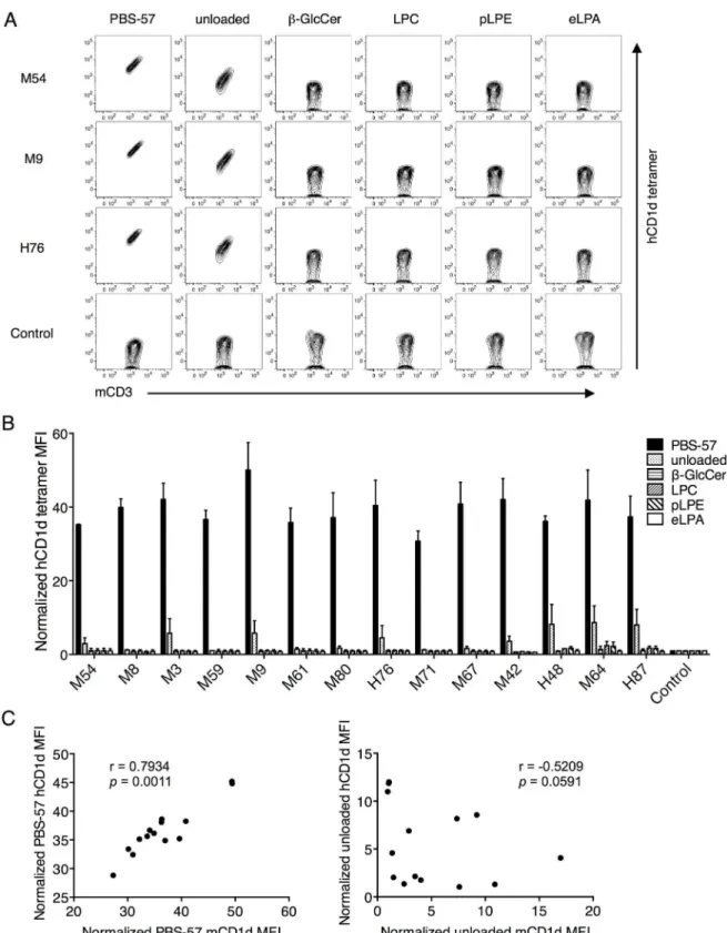 Fig 4. Mouse Vβ8.2 iNKT TCRs recognized only the unloaded hCD1d tetramer but not other self-lipid hCD1d tetramers.