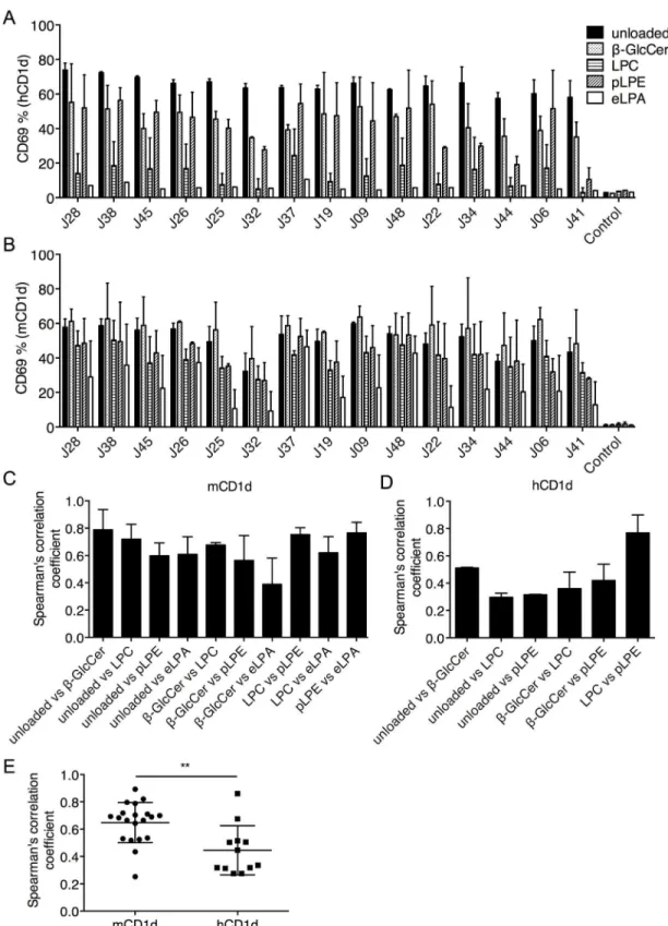 Fig 6. Mouse iNKT TCRs recognize hCD1d-lipid complexes with greater ligand selectivity than mCD1d-lipid complexes