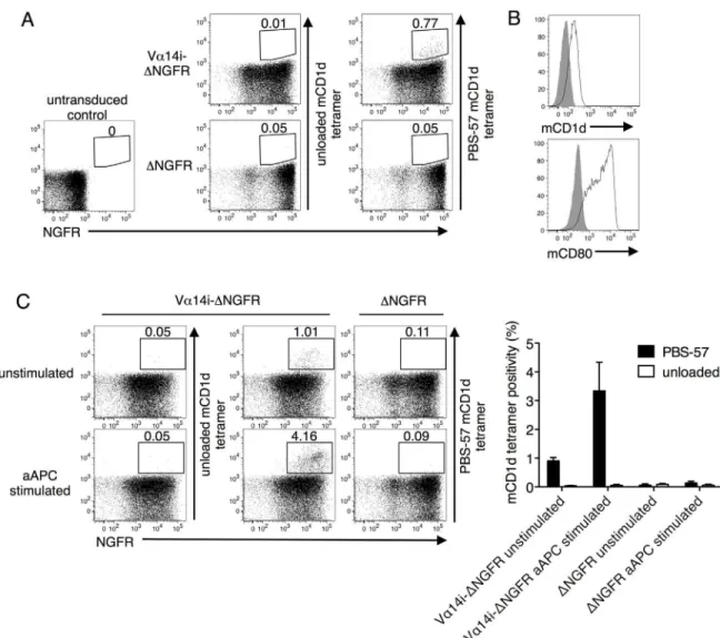 Fig 1. Generating de novo mouse iNKT TCRs. (A) Splenocytes from CD1d knockout (KO) mice of the C57BL/6 background were transduced with the full-length invariant Vα14 TCRα (Vα14i) chain, tagged with the extracellular portion of human nerve growth factor rec