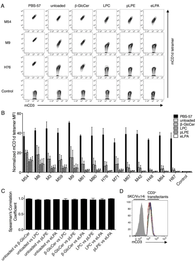 Fig 3. Murine Vβ8.2 iNKT TCRs recognize mCD1d-self-lipid complexes without ligand selectivity