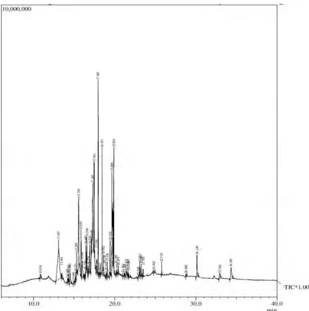 Fig. 1 Gas chromatogram comprised of total alkaloids identified from the vegetative shoot of Epipremnum aureum