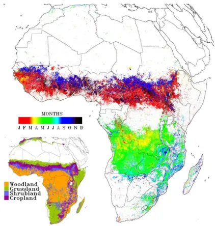 Fig. 1. Geostationary active fire detections over Africa for 2004, colored by day of detection.