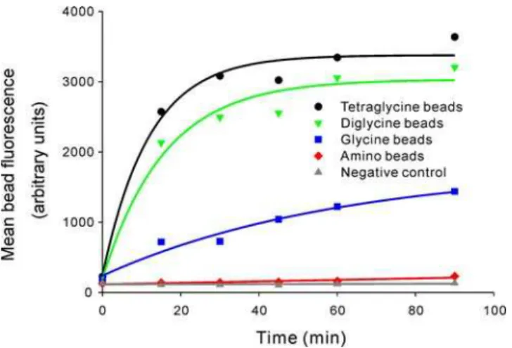Figure 1. Ligation of fluorescent proteins to polymer beads. (a) GMA beads modified with one, two, or four glycine residues were incubated with EGFP-LPETGG-His 6 and Sortase