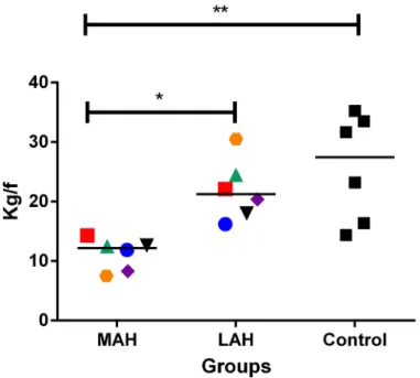 Fig 1. Handgrip assessment in leprosy group. Handgrip assessment. MAH: most affected hand; LAH: