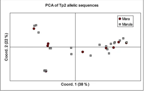 Figure 5. Principal component analysis of Tp2 allelic diversity. This diagram illustrates the relationship between buffalo-derived (Mara) and buffalo-associated, cattle-derived isolates (Marula), suggesting the isolates may belong to a single population